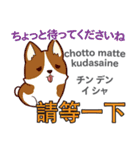 犬の毎日 日本語台湾語（個別スタンプ：27）