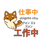 犬の毎日 日本語台湾語（個別スタンプ：30）