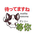 犬の毎日 日本語台湾語（個別スタンプ：33）