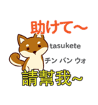 犬の毎日 日本語台湾語（個別スタンプ：35）