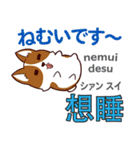 犬の毎日 日本語台湾語（個別スタンプ：37）