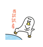 It's Bird's life.（個別スタンプ：31）