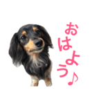まるむぎ仲良しスタンプ（個別スタンプ：2）