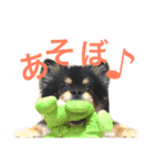 まるむぎ仲良しスタンプ（個別スタンプ：3）
