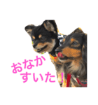 まるむぎ仲良しスタンプ（個別スタンプ：4）