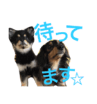 まるむぎ仲良しスタンプ（個別スタンプ：5）