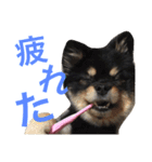 まるむぎ仲良しスタンプ（個別スタンプ：9）