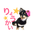 まるむぎ仲良しスタンプ（個別スタンプ：11）