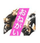 まるむぎ仲良しスタンプ（個別スタンプ：13）