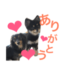 まるむぎ仲良しスタンプ（個別スタンプ：14）