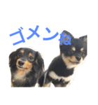 まるむぎ仲良しスタンプ（個別スタンプ：15）