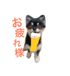 まるむぎ仲良しスタンプ（個別スタンプ：16）