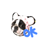seriyan（個別スタンプ：4）