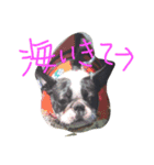 seriyan（個別スタンプ：5）