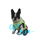 seriyan（個別スタンプ：6）