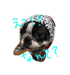 seriyan（個別スタンプ：9）