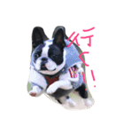 seriyan（個別スタンプ：11）