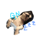 seriyan（個別スタンプ：12）