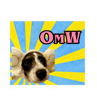 Jack Russel（個別スタンプ：4）