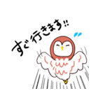 botu ふくろうスタンプ（個別スタンプ：6）