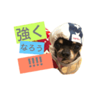 rhythm0（個別スタンプ：8）