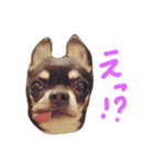 rhythm0（個別スタンプ：11）