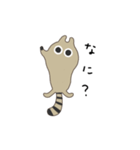 Coati（コーティー）（個別スタンプ：6）