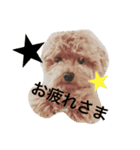 はっぴー．らっきー（個別スタンプ：3）