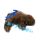 はっぴー．らっきー（個別スタンプ：4）