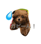 はっぴー．らっきー（個別スタンプ：8）