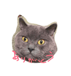 ぽぽちゃん大好き（個別スタンプ：1）