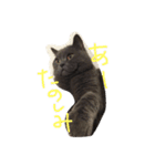 ぽぽちゃん大好き（個別スタンプ：5）
