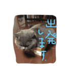ぽぽちゃん大好き（個別スタンプ：9）