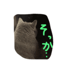 ぽぽちゃん大好き（個別スタンプ：10）