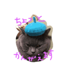 ぽぽちゃん大好き（個別スタンプ：12）