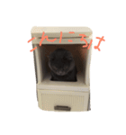 ぽぽちゃん大好き（個別スタンプ：14）