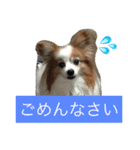 ぺぺきちと仲間（個別スタンプ：4）