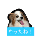 ぺぺきちと仲間（個別スタンプ：8）