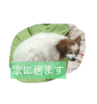 ぺぺきちと仲間（個別スタンプ：18）