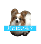 ぺぺきちと仲間（個別スタンプ：20）