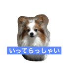 ぺぺきちと仲間（個別スタンプ：24）