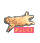 ぺぺきちと仲間（個別スタンプ：27）