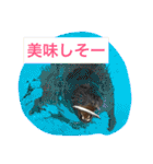 ぺぺきちと仲間（個別スタンプ：28）