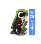 ぺぺきちと仲間（個別スタンプ：31）