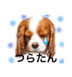 ちょこくる（個別スタンプ：2）