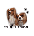 ちょこくる（個別スタンプ：10）