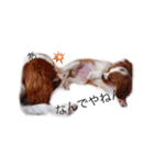 ちょこくる（個別スタンプ：12）