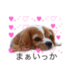 ちょこくる2（個別スタンプ：2）