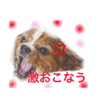 ちょこくる2（個別スタンプ：3）