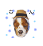 ちょこくる2（個別スタンプ：4）